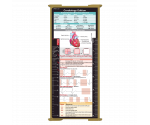 WhiteCoat Clipboard® Trifold - Tactical Brown Cardiology Edition